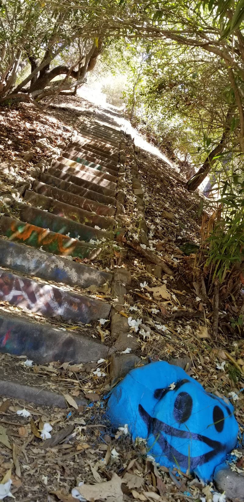 Rustic Canyon interior and dining atmosphere 5